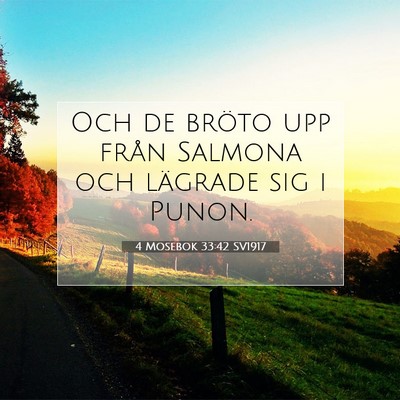 4 Mosebok 33:42 Bibelvers Förklarad