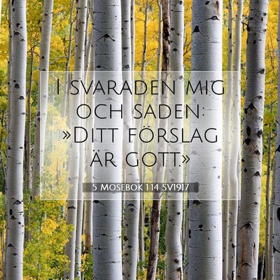 5 Mosebok 1:14 Bibelvers Förklarad