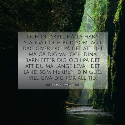 5 Mosebok 4:40 SV1917 Bild av bibelvers