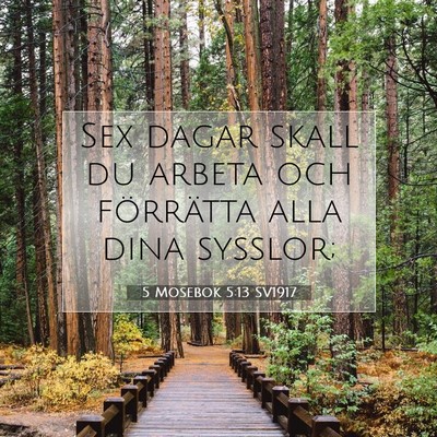 5 Mosebok 5:13 Bibelvers Förklarad