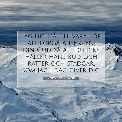 5 Mosebok 8:11 SV1917 Bild av bibelvers