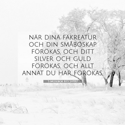 5 Mosebok 8:13 SV1917 Bild av bibelvers