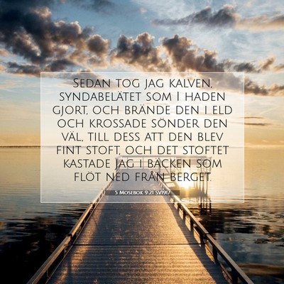5 Mosebok 9:21 SV1917 Bild av bibelvers
