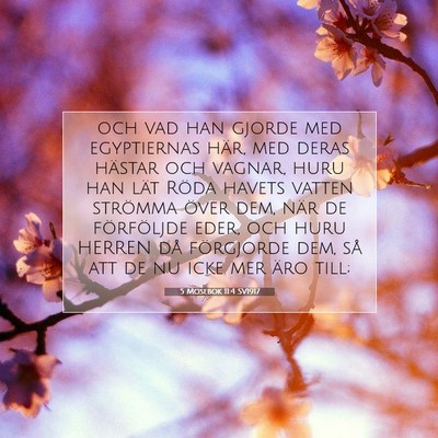 5 Mosebok 11:4 Bibelvers Förklarad
