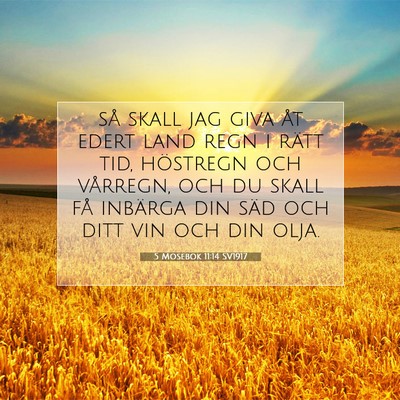 5 Mosebok 11:14 SV1917 Bild av bibelvers