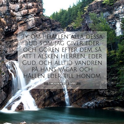 5 Mosebok 11:22 SV1917 Bild av bibelvers