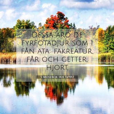 5 Mosebok 14:4 Bibelvers Förklarad