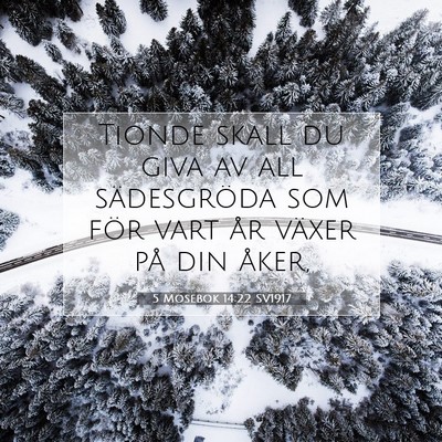 5 Mosebok 14:22 Bibelvers Förklarad
