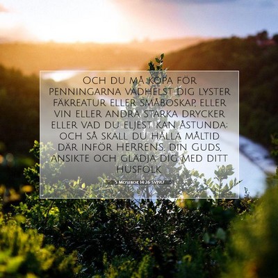 5 Mosebok 14:26 Bibelvers Förklarad