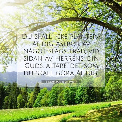 5 Mosebok 16:21 SV1917 Bild av bibelvers