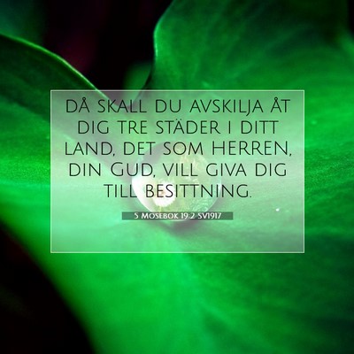5 Mosebok 19:2 Bibelvers Förklarad