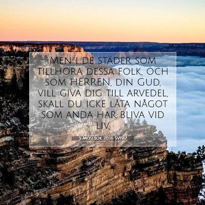 5 Mosebok 20:16 Bibelvers Förklarad