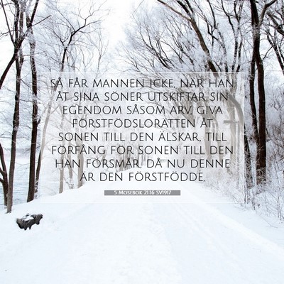 5 Mosebok 21:16 Bibelvers Förklarad