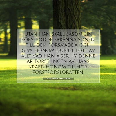 5 Mosebok 21:17 Bibelvers Förklarad