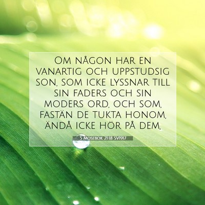 5 Mosebok 21:18 SV1917 Bild av bibelvers