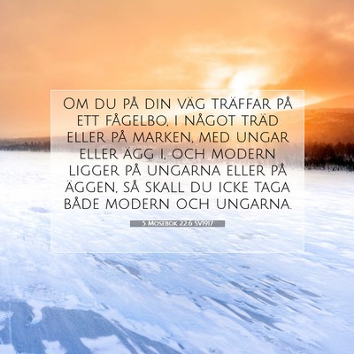 5 Mosebok 22:6 Bibelvers Förklarad