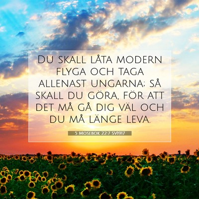 5 Mosebok 22:7 Bibelvers Förklarad