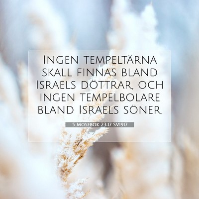 5 Mosebok 23:17 Bibelvers Förklarad