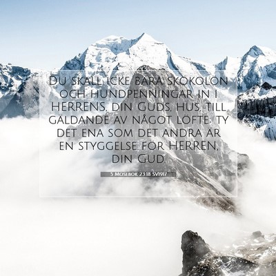 5 Mosebok 23:18 SV1917 Bild av bibelvers