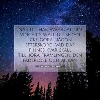 5 Mosebok 24:21 SV1917 Bild av bibelvers