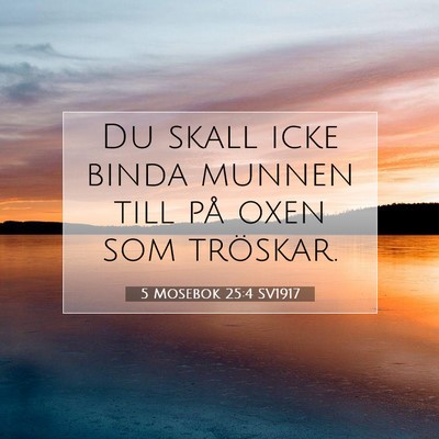 5 Mosebok 25:4 Bibelvers Förklarad