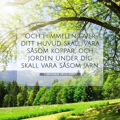 5 Mosebok 28:23 SV1917 Bild av bibelvers
