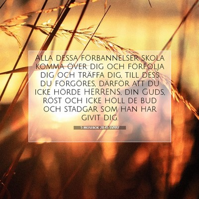 5 Mosebok 28:45 SV1917 Bild av bibelvers