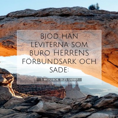 5 Mosebok 31:25 Bibelvers Förklarad