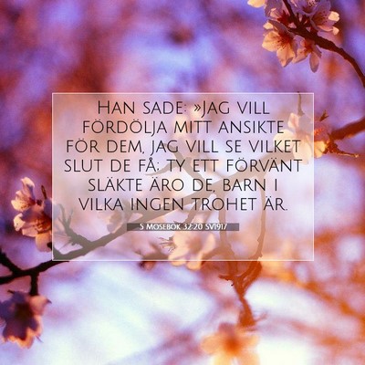 5 Mosebok 32:20 SV1917 Bild av bibelvers