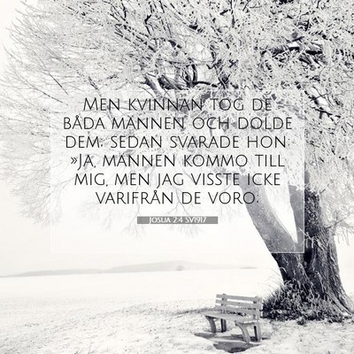 Josua 2:4 SV1917 Bild av bibelvers