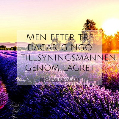 Josua 3:2 SV1917 Bild av bibelvers