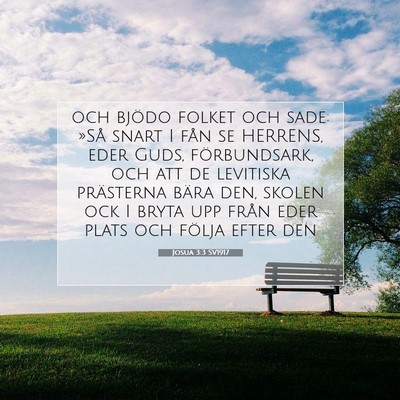 Josua 3:3 SV1917 Bild av bibelvers