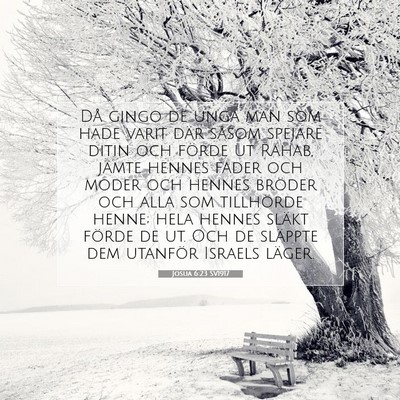 Josua 6:23 SV1917 Bild av bibelvers