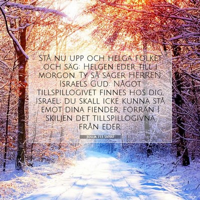 Josua 7:13 SV1917 Bild av bibelvers