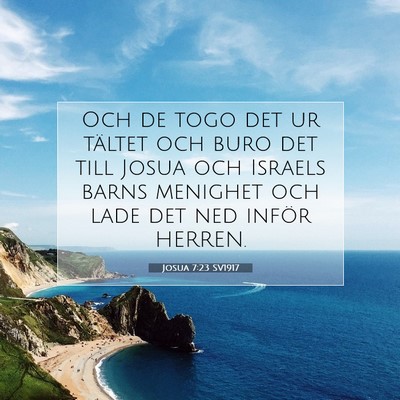 Josua 7:23 SV1917 Bild av bibelvers