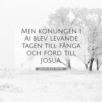 Josua 8:23 Bibelvers Förklarad