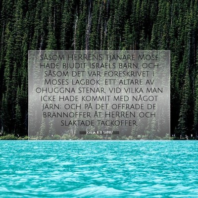 Josua 8:31 SV1917 Bild av bibelvers
