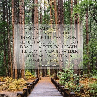 Josua 9:11 SV1917 Bild av bibelvers