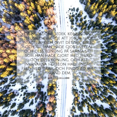 Josua 10:1 SV1917 Bild av bibelvers