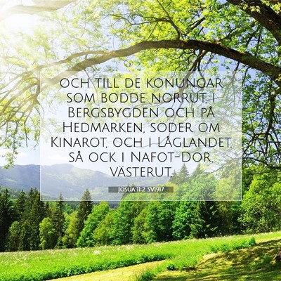 Josua 11:2 SV1917 Bild av bibelvers