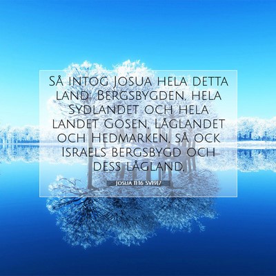 Josua 11:16 SV1917 Bild av bibelvers