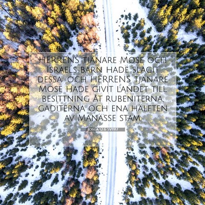 Josua 12:6 SV1917 Bild av bibelvers