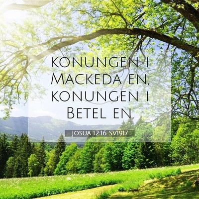 Josua 12:16 SV1917 Bild av bibelvers