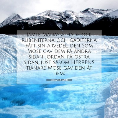 Josua 13:8 SV1917 Bild av bibelvers