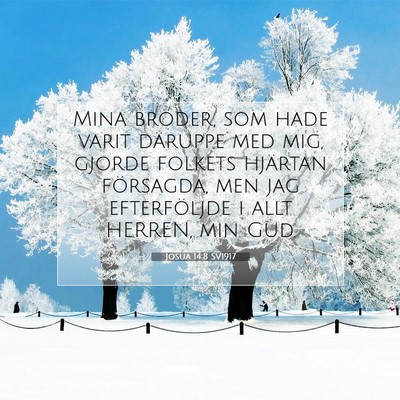Josua 14:8 SV1917 Bild av bibelvers