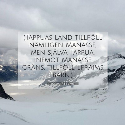 Josua 17:8 SV1917 Bild av bibelvers