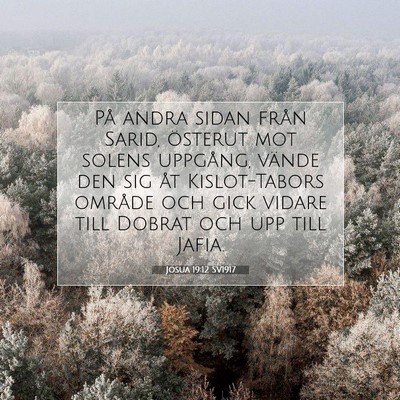 Josua 19:12 SV1917 Bild av bibelvers
