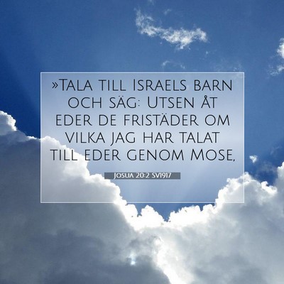 Josua 20:2 SV1917 Bild av bibelvers