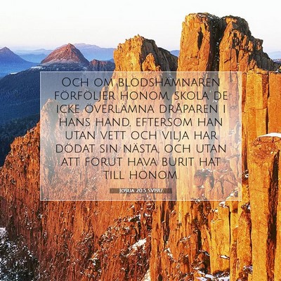 Josua 20:5 SV1917 Bild av bibelvers