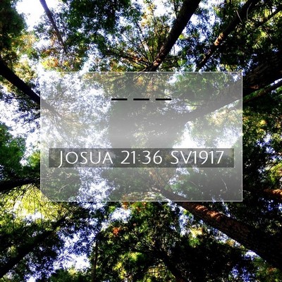 Josua 21:36 SV1917 Bild av bibelvers